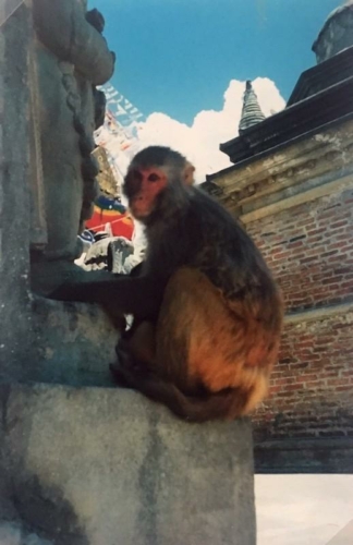 146 19910722 Kathmandu Nepal