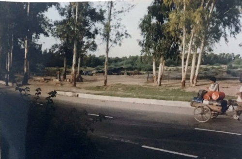 234 19910811 Agra India