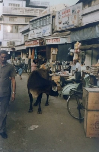 235 19910813 Delhi India