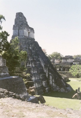 090 Tikal