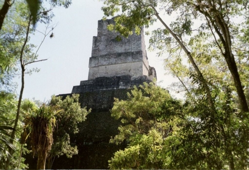 093 Tikal