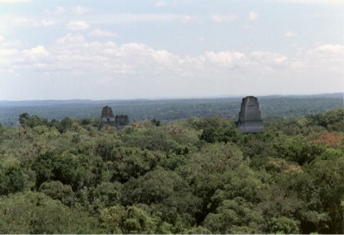 105 Tikal