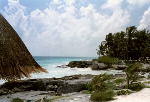 133 Tulum