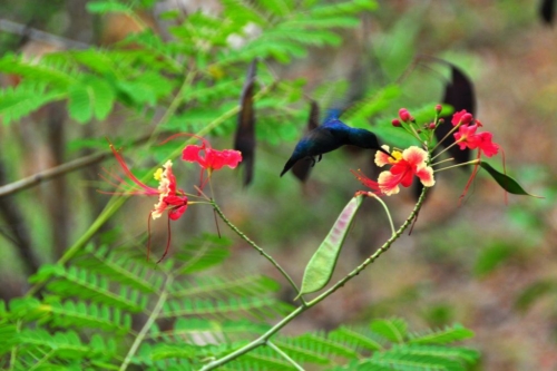 023 darien panama 2013