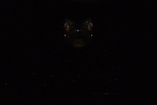 059 darien panama 2013