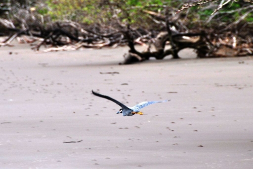 069 darien panama 2013