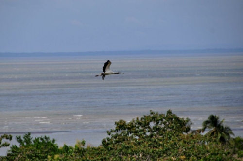 091 darien panama 2013