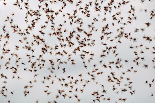 092 darien panama 2013