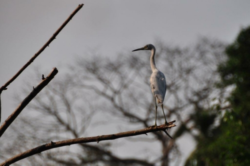 151 darien panama 2013