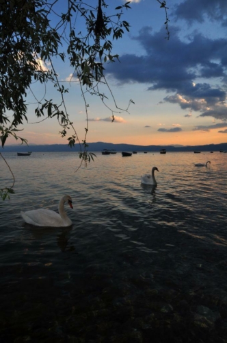 286 2015 macedonie ohrid