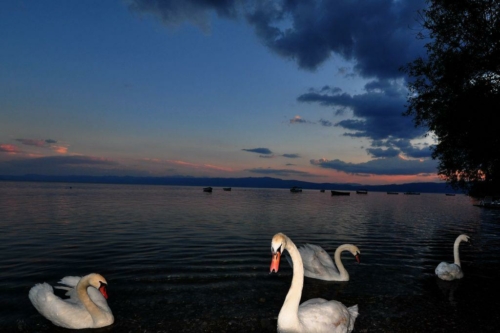 294 2015 macedonie ohrid