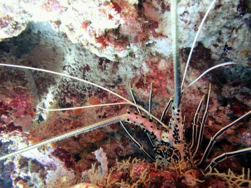 125 20160302 s ari (1)