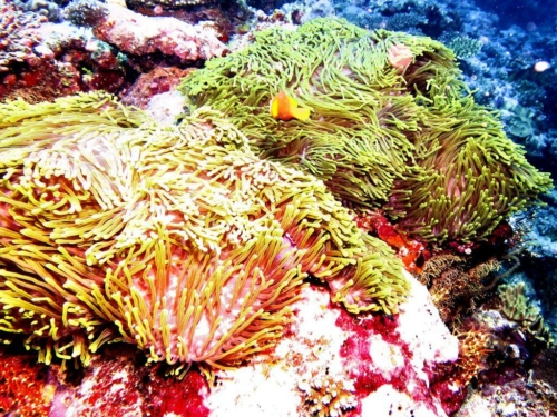 130 20160302 s ari (1)