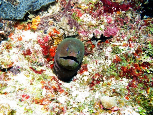 ???????????????????????????????