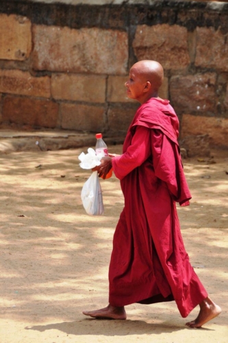 0036 20160309 anuradhapura