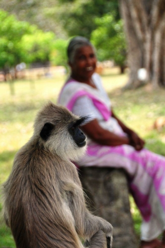 0046 20160309 anuradhapura