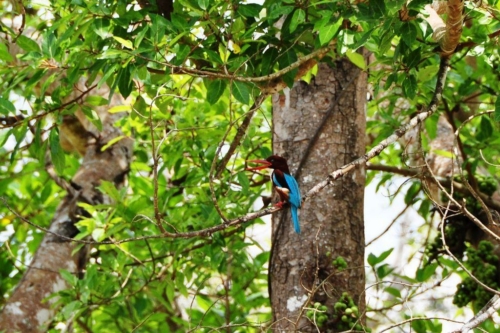 0060 20160309 anuradhapura