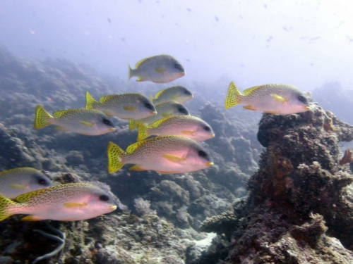 ???????????????????????????????