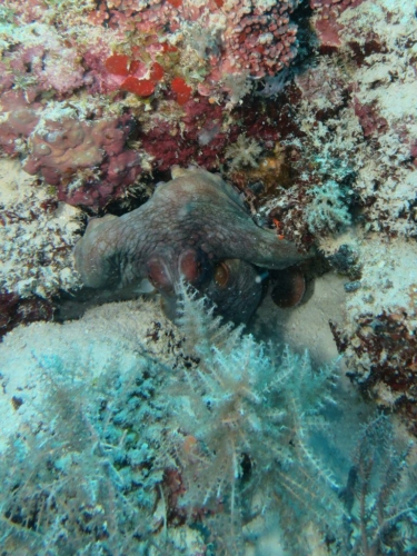 ???????????????????????????????