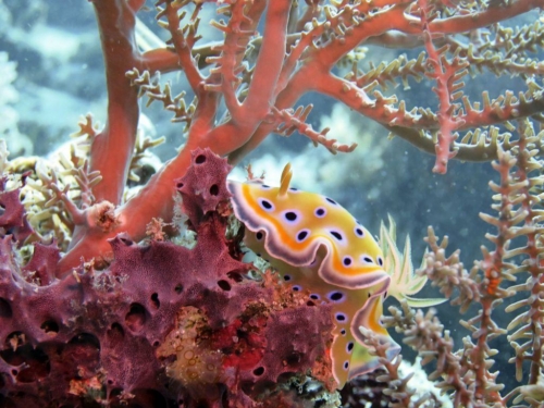 ???????????????????????????????