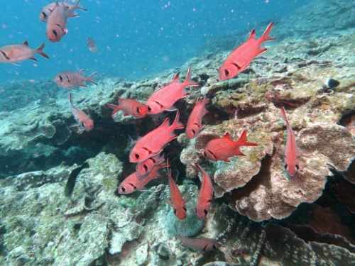 ???????????????????????????????