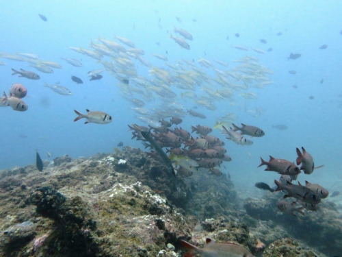 ???????????????????????????????