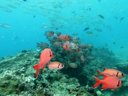 ???????????????????????????????