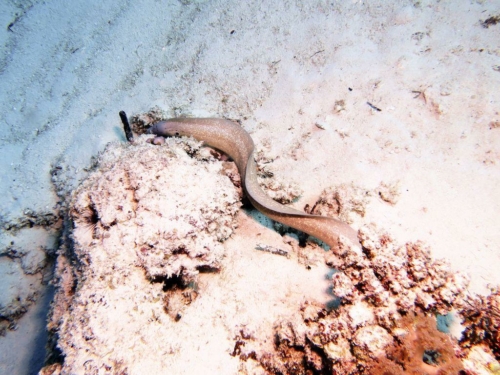 ???????????????????????????????