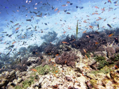 ???????????????????????????????