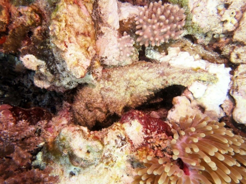 ???????????????????????????????