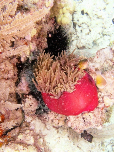 ???????????????????????????????