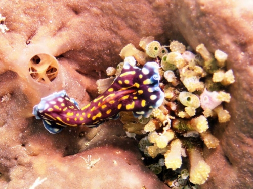 ???????????????????????????????