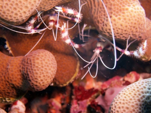 ???????????????????????????????