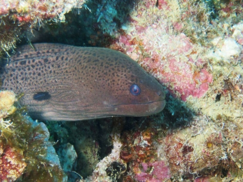 ???????????????????????????????