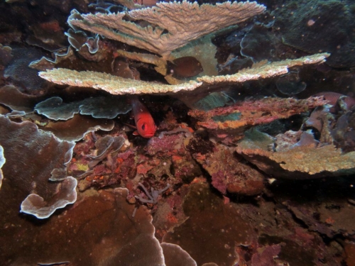 ???????????????????????????????