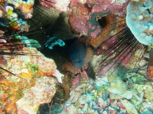 ???????????????????????????????