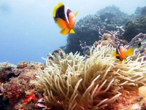 ???????????????????????????????