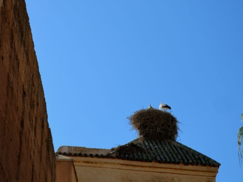 007 20170918 morocco marrakesh