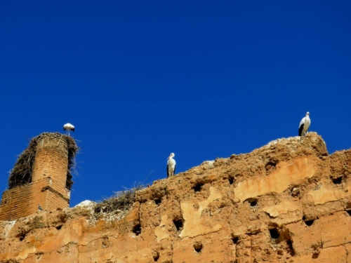 018 20170918 morocco marrakesh