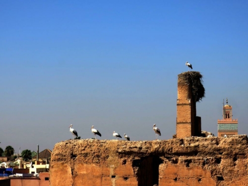 025 20170918 morocco marrakesh