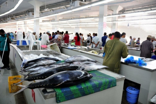 006 15 12 2017 oman muscat