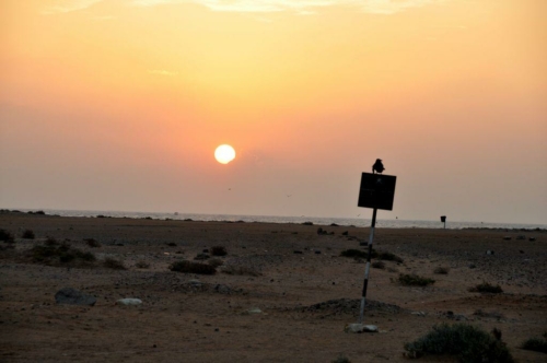 070 17 12 2017 oman rasaljinz