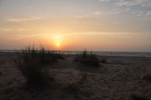 071 17 12 2017 oman rasaljinz