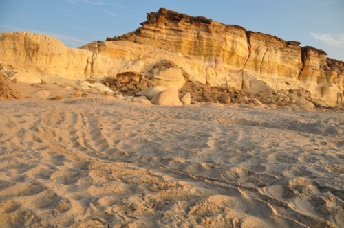 077 17 12 2017 oman rasaljinz