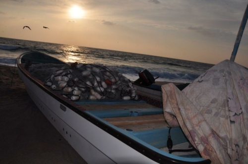 089 17 12 2017 oman rasaljinz