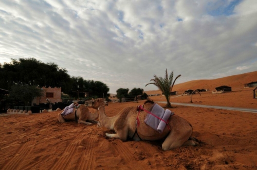 164 18 12 2017 oman wahiba