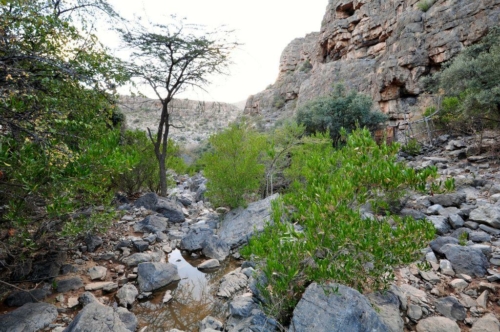 217 18 12 2017 oman jebelakhdar