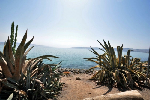 121 20181002 capernaum