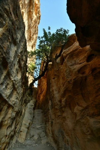 138 Jordan LittlePetra 20211117