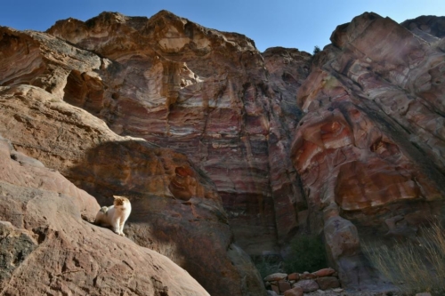 175 Jordan Petra 20211118